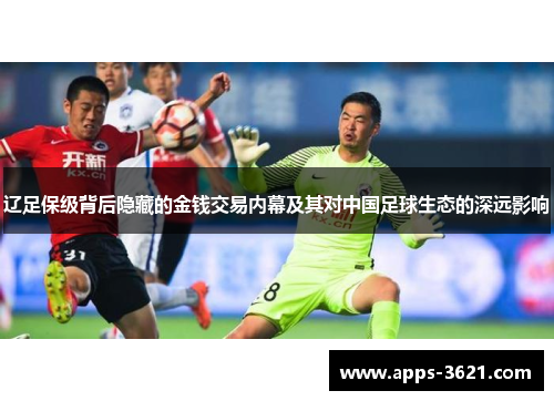 辽足保级背后隐藏的金钱交易内幕及其对中国足球生态的深远影响