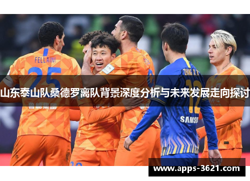 山东泰山队桑德罗离队背景深度分析与未来发展走向探讨