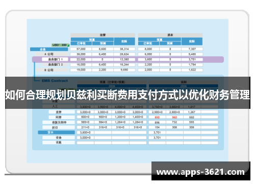 如何合理规划贝兹利买断费用支付方式以优化财务管理